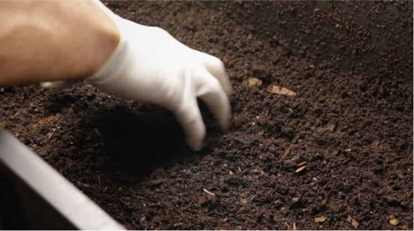 [+]  Compostagem Acelerada